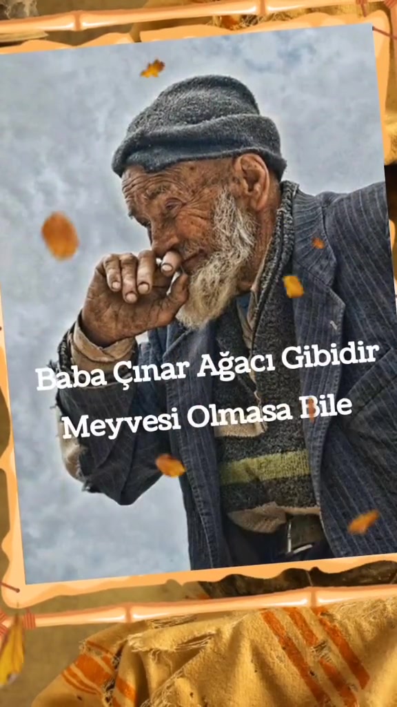 @kelebeğin d&uuml;nyası