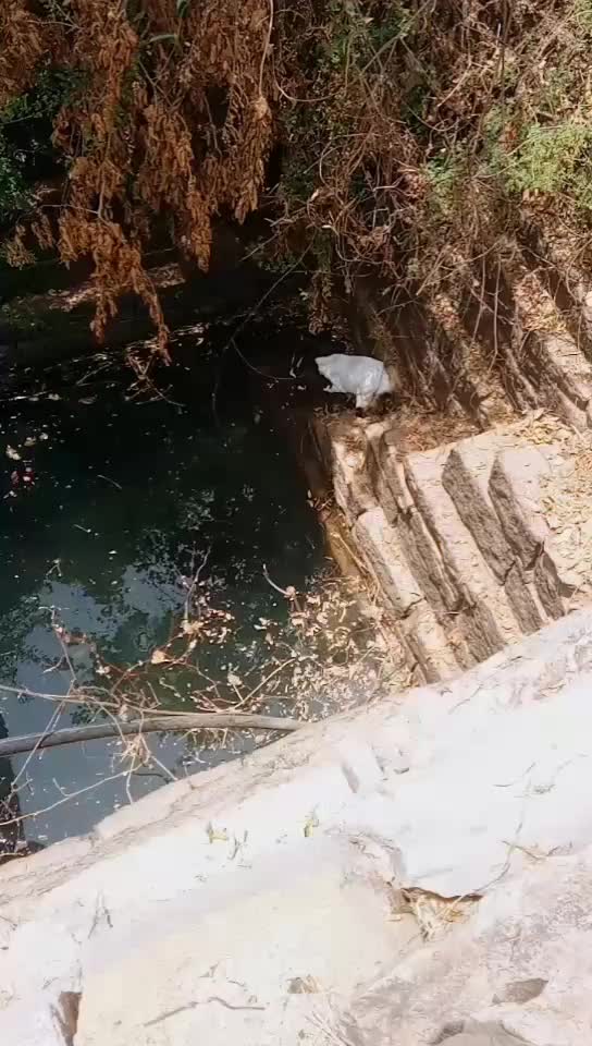 @Mallikarjuna Yadav