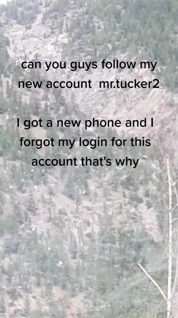 @mr.tucker