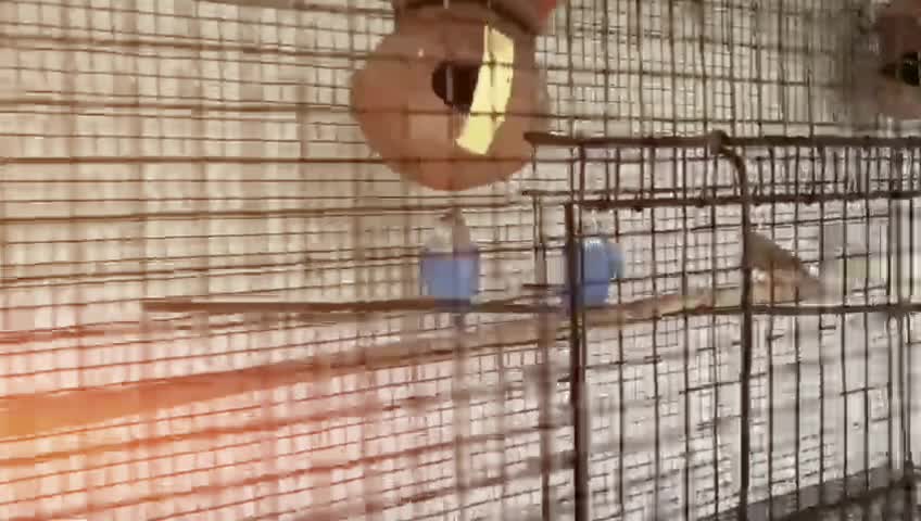 @___mayurr___