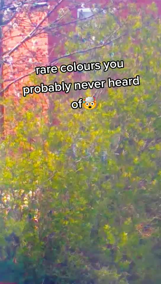 @._.