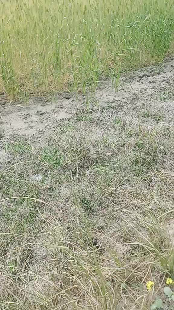 @kya karoge mera