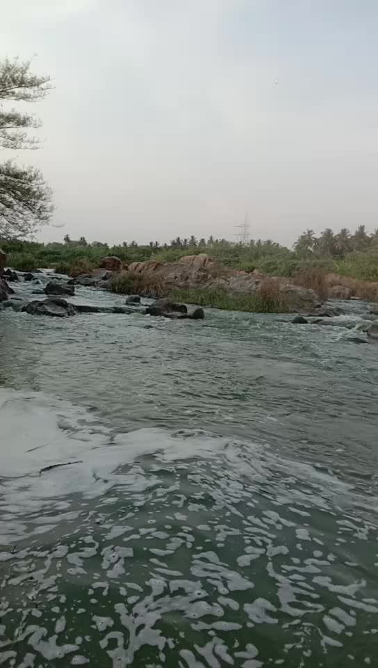 @RS THANGARAJ TI❤️