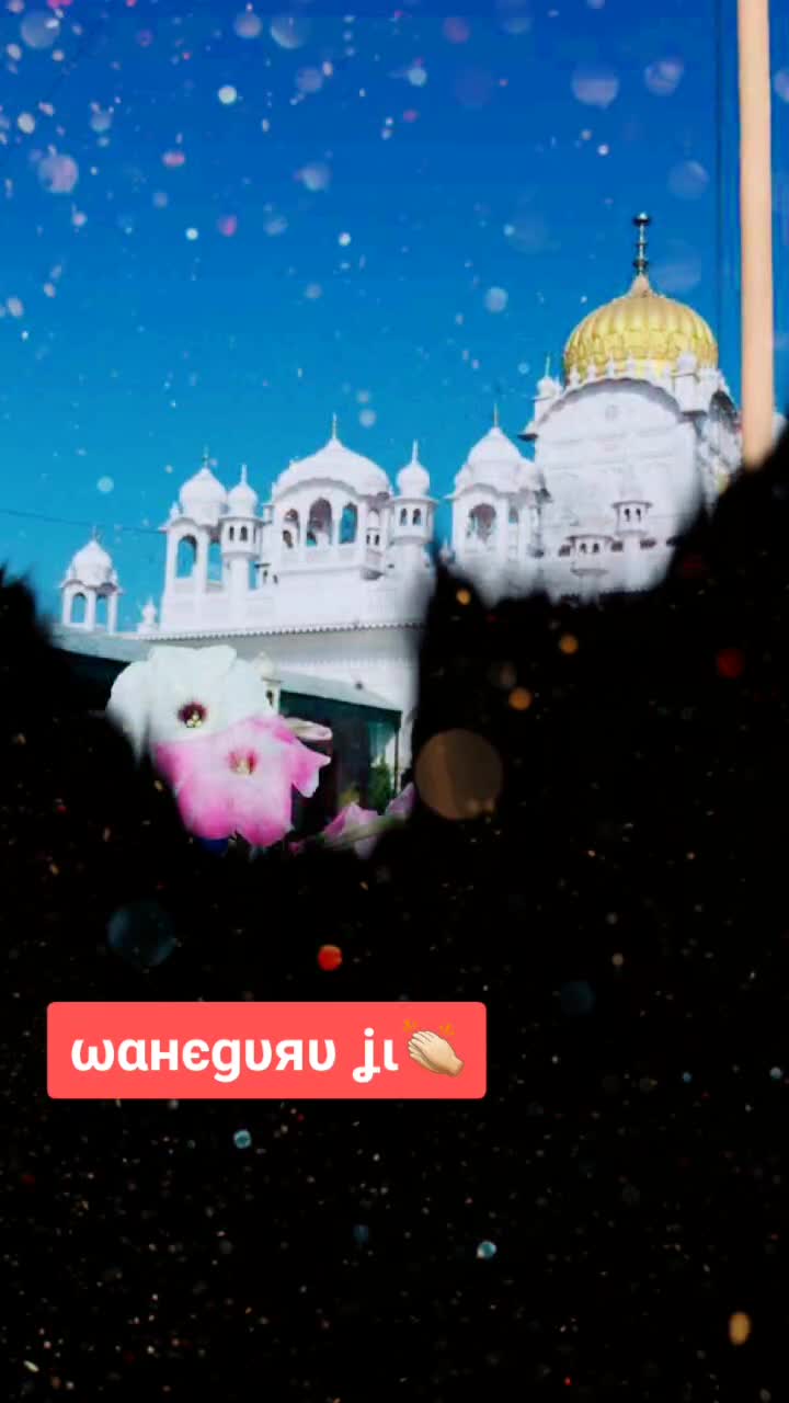 @ਮੁੰਡਾਂ ਸਰਪੰਚਾਂ ਦਾ🦅