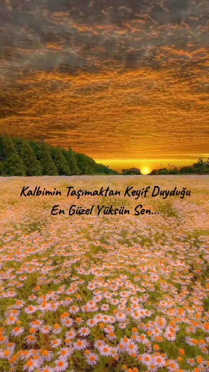 @Caglar Ugur