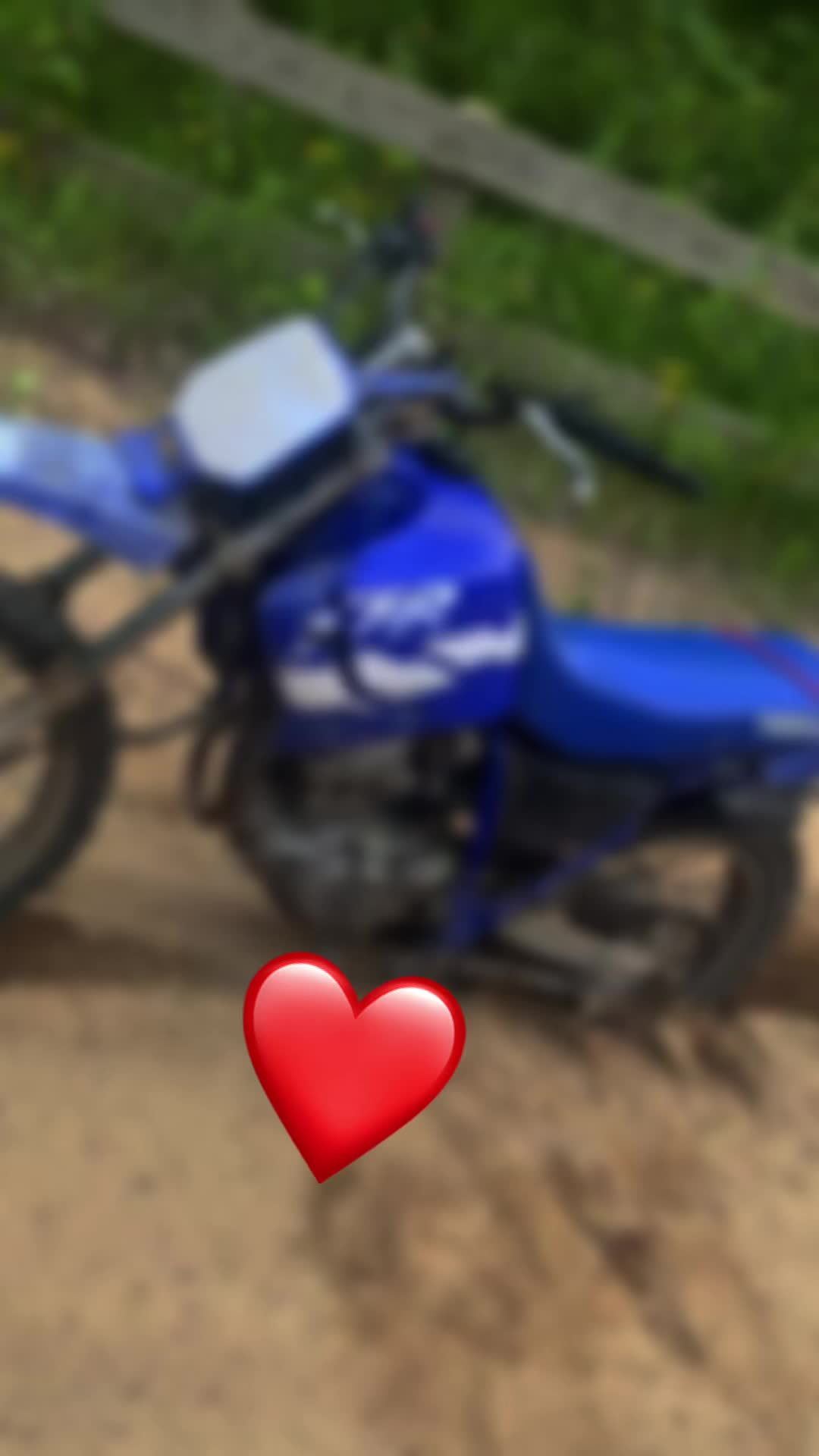 @dirtbike 300