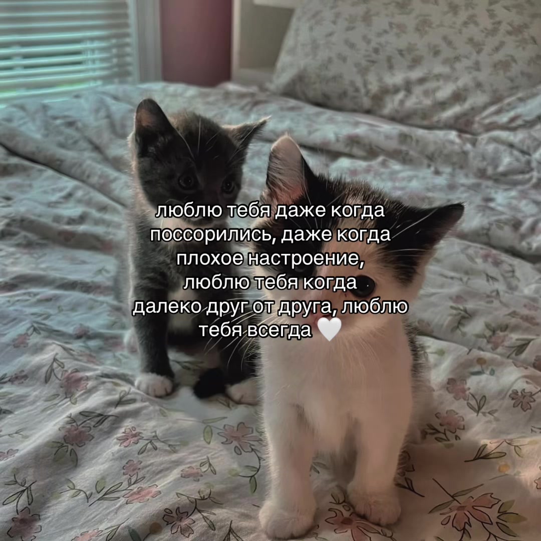 @Х̶И̶Т̶Ы̶ У̶ П̶Л̶И̶Т̶Ы̶🎧