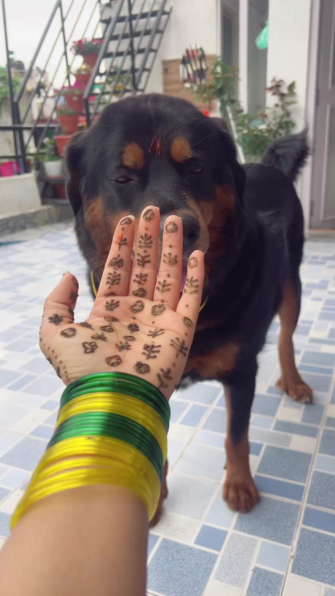 @Vegan Nuren Rai🚩