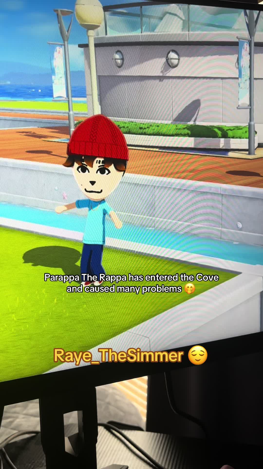 @Raye_thesimmer