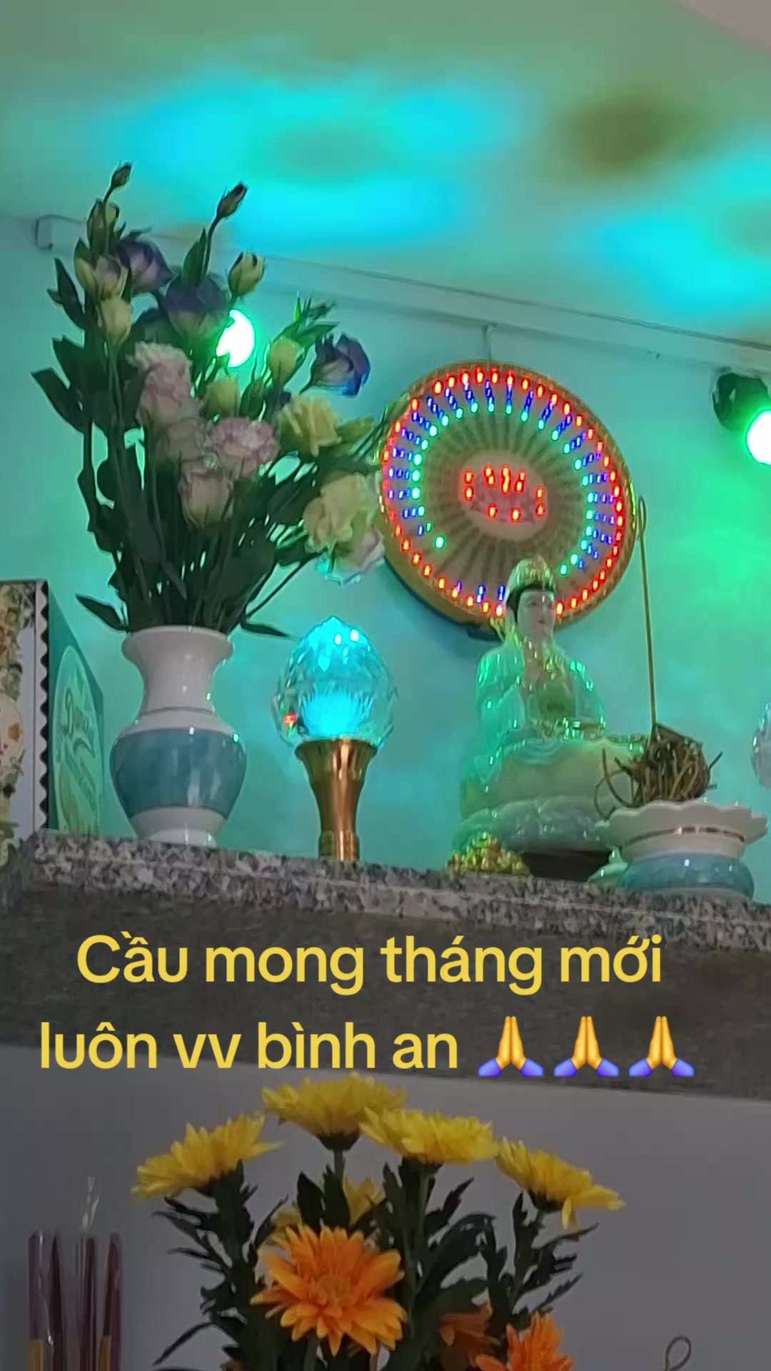 @nguyễn dung