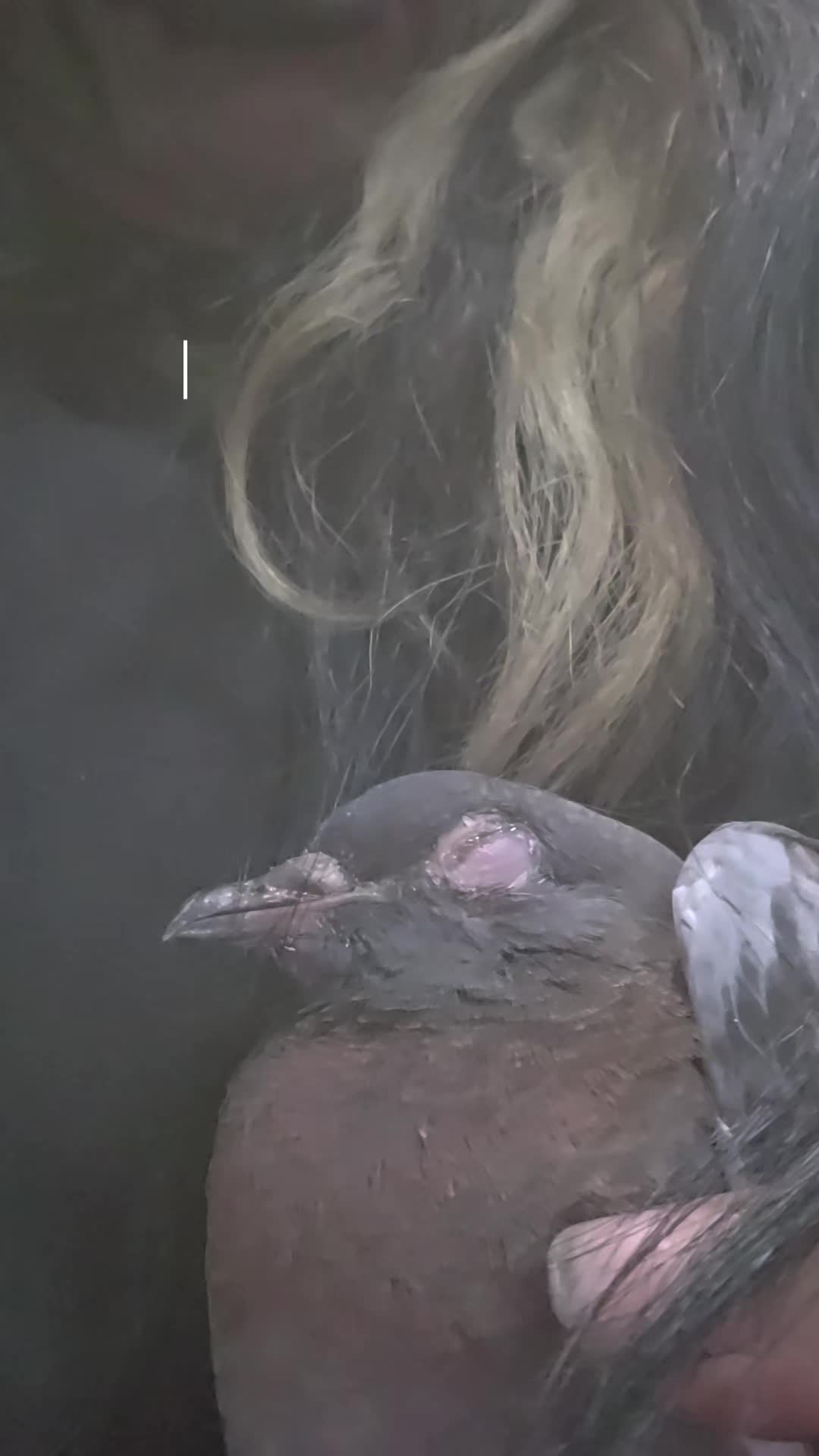 @S.Char.The.Pigeon.Lady🌙🖤Xx
