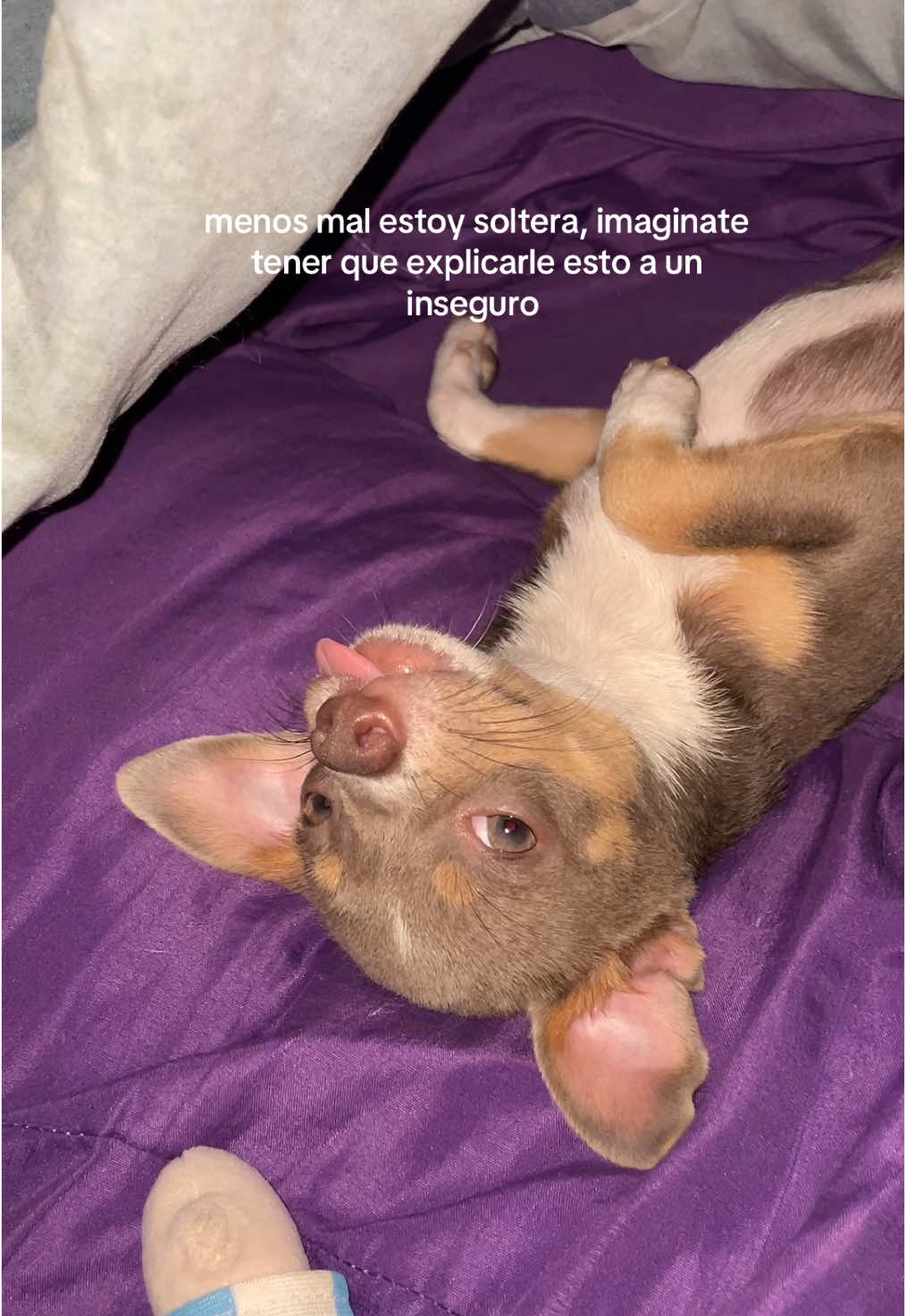 @c4rolrodriguezz