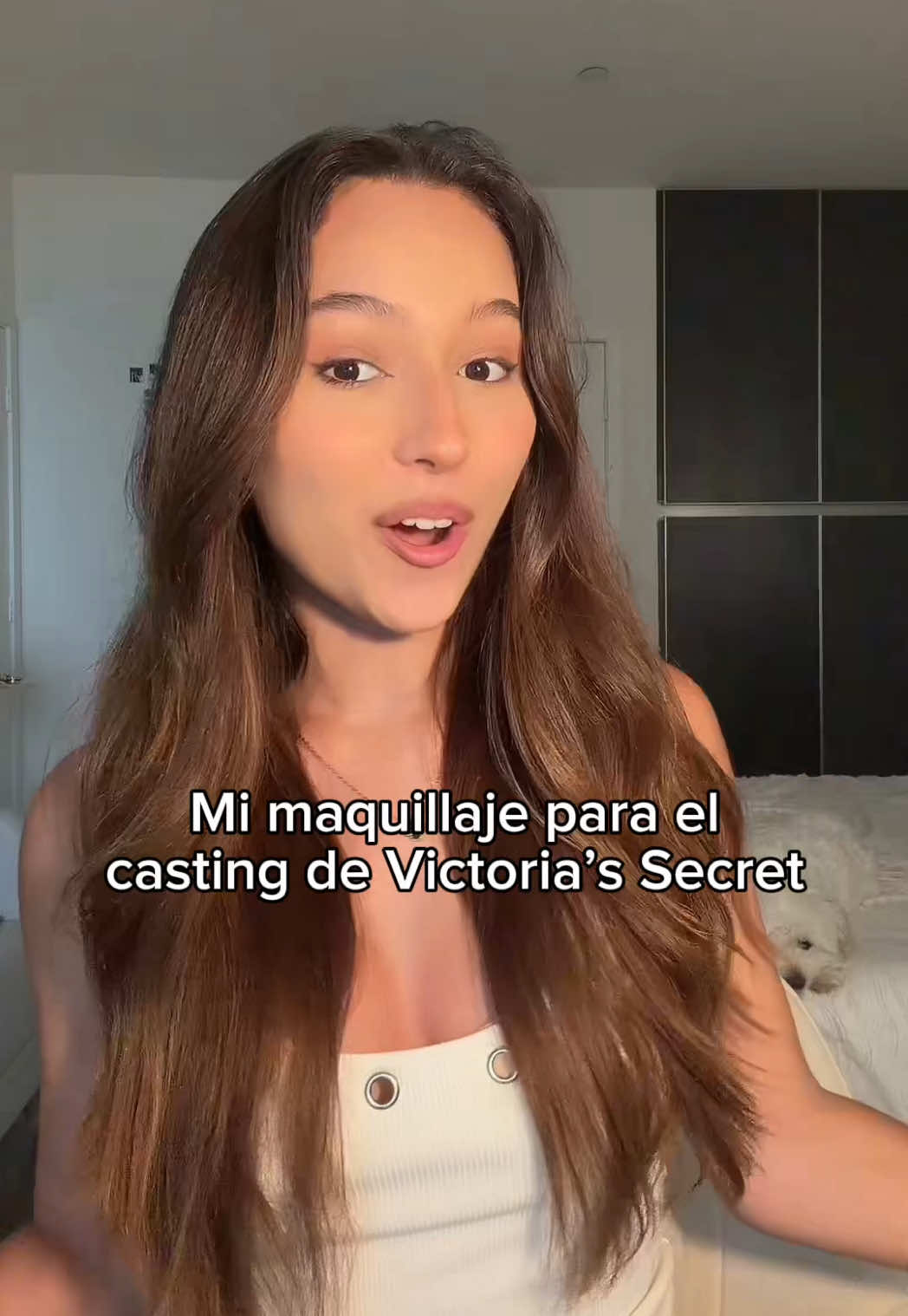 @Ale Barnechea🦕