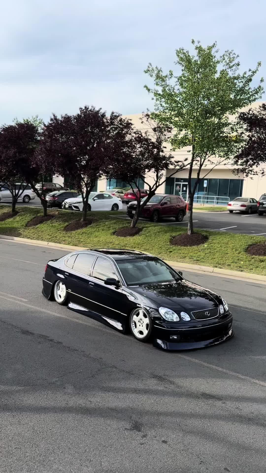 @gs3.tommy