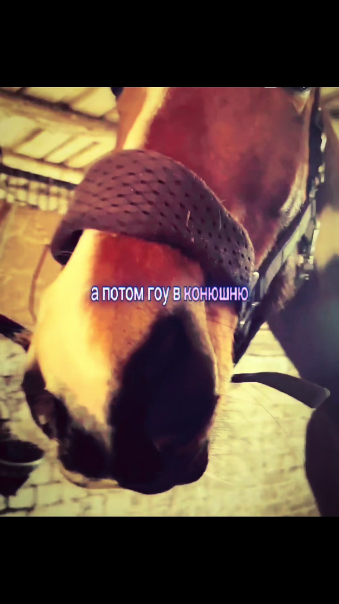 @Ли🐴