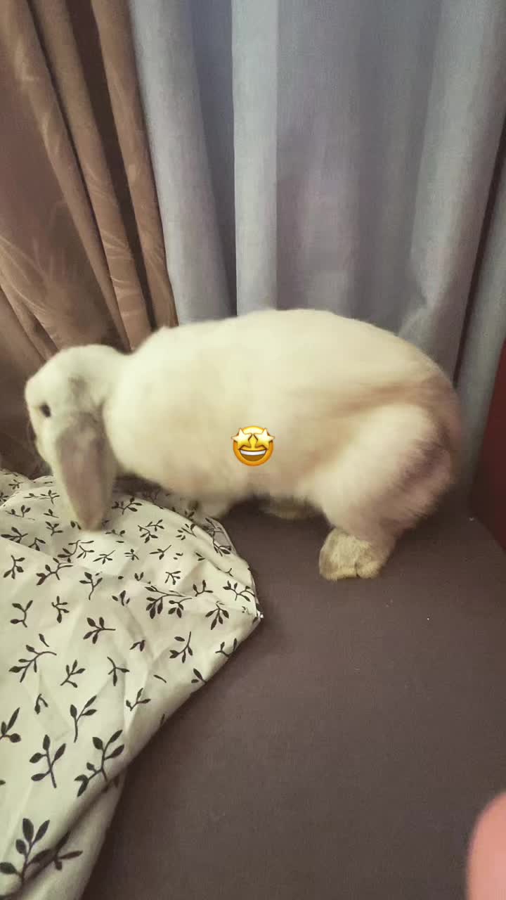 @cahit_š²š¦š¹š·