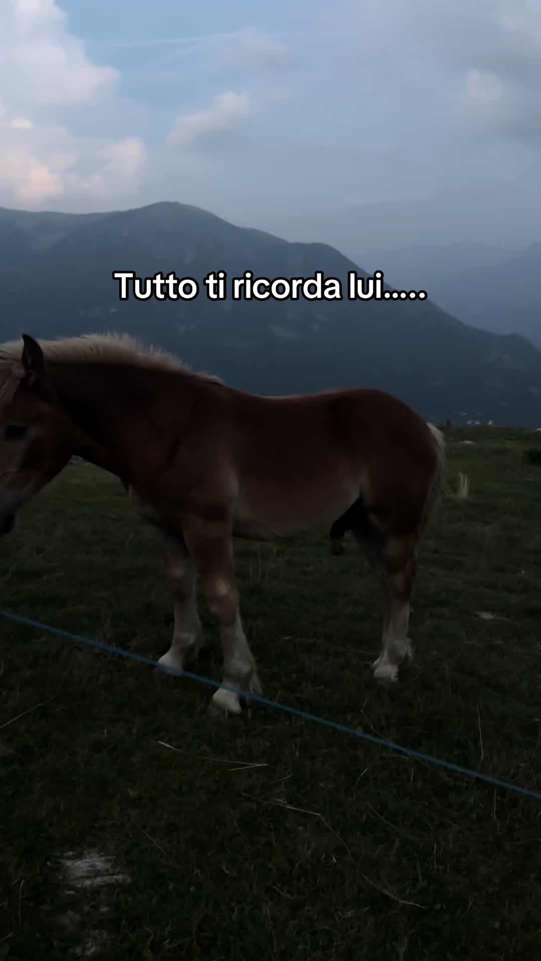 @Martina