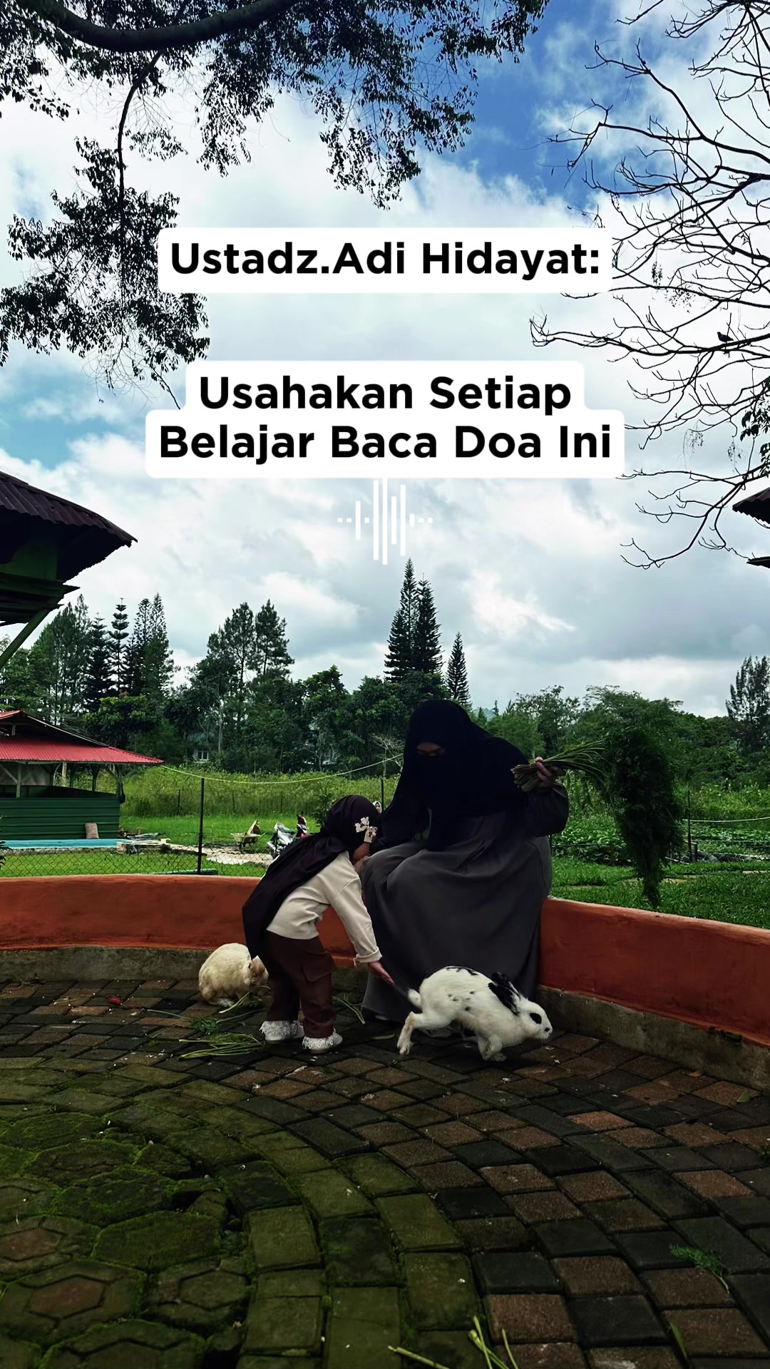 @kireina property