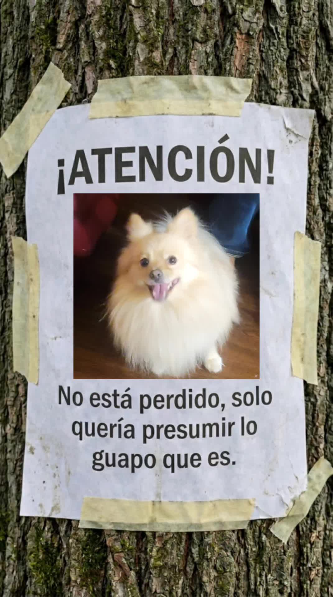 @Leidy