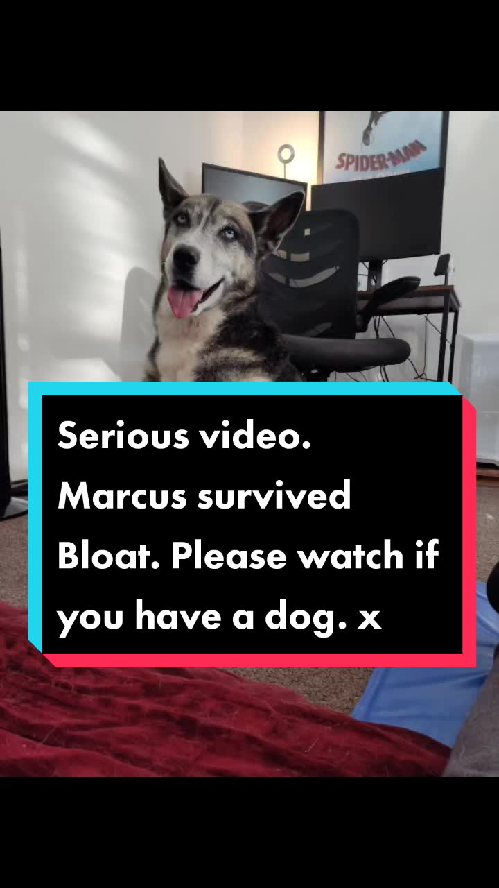 @Marcus Barcus ๐บ๐ฑ๐๐ท๐ด๐ฌ๐ง