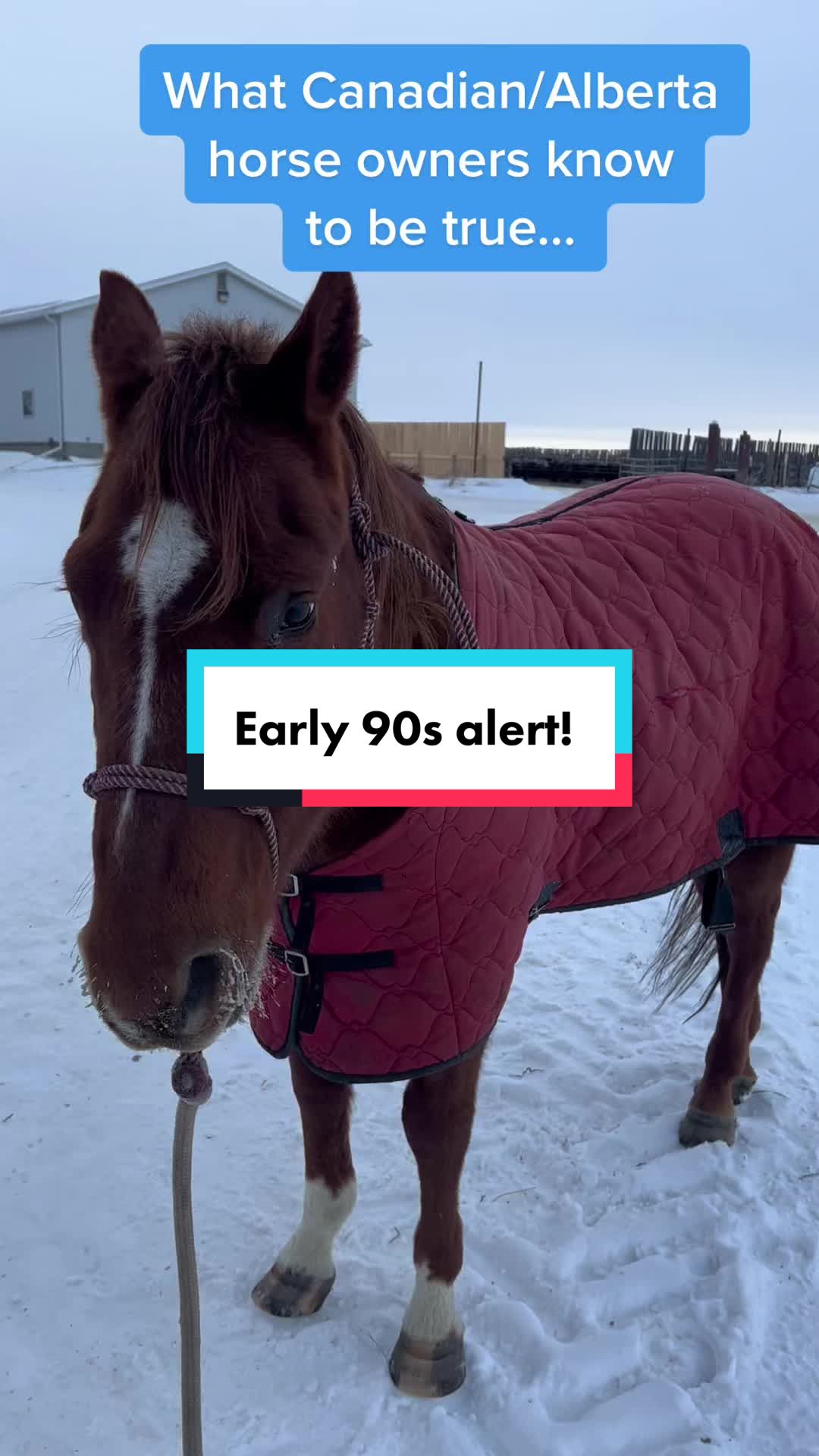 @Shari | Horses & Life Skills