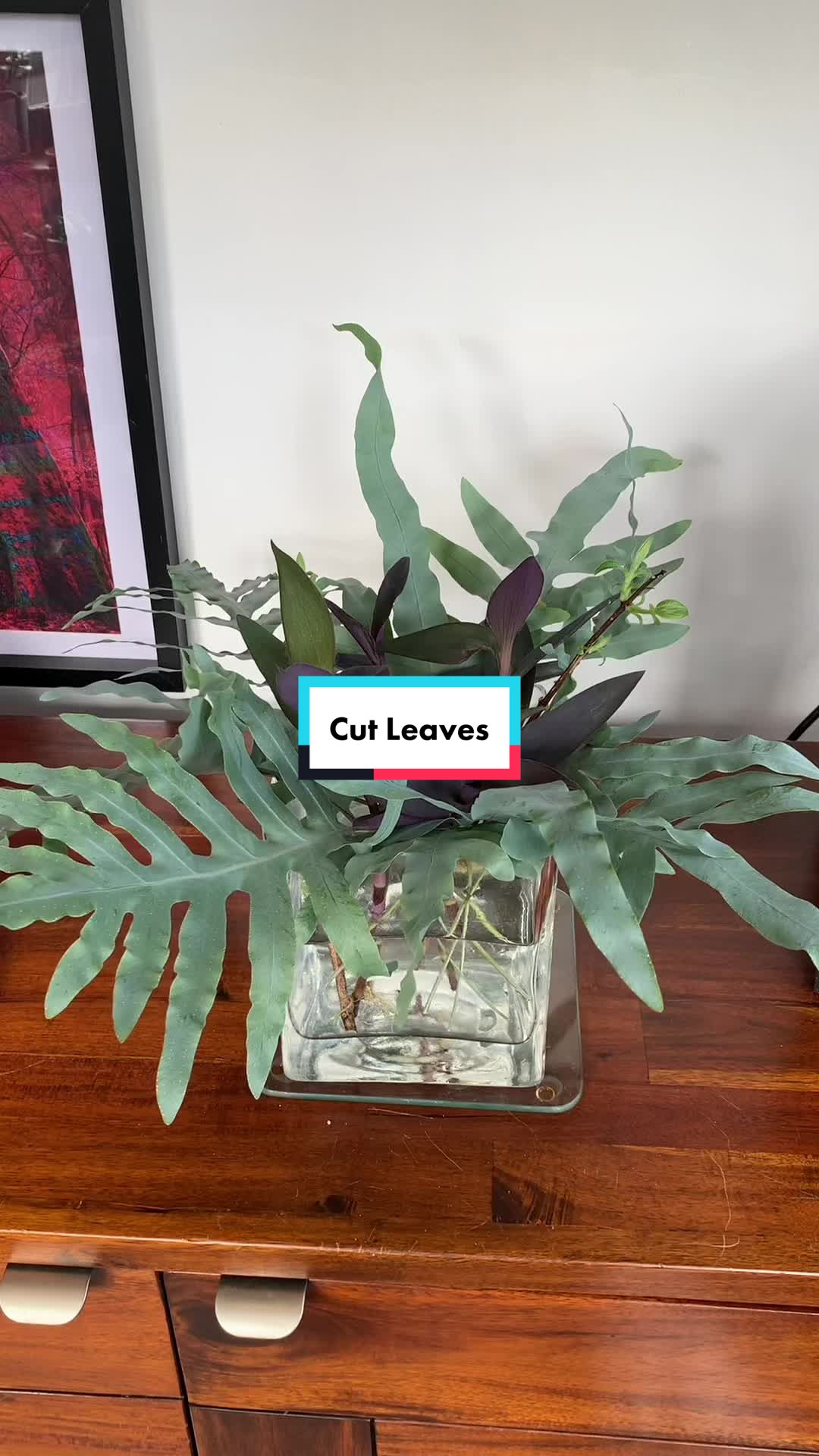 @Plant!U