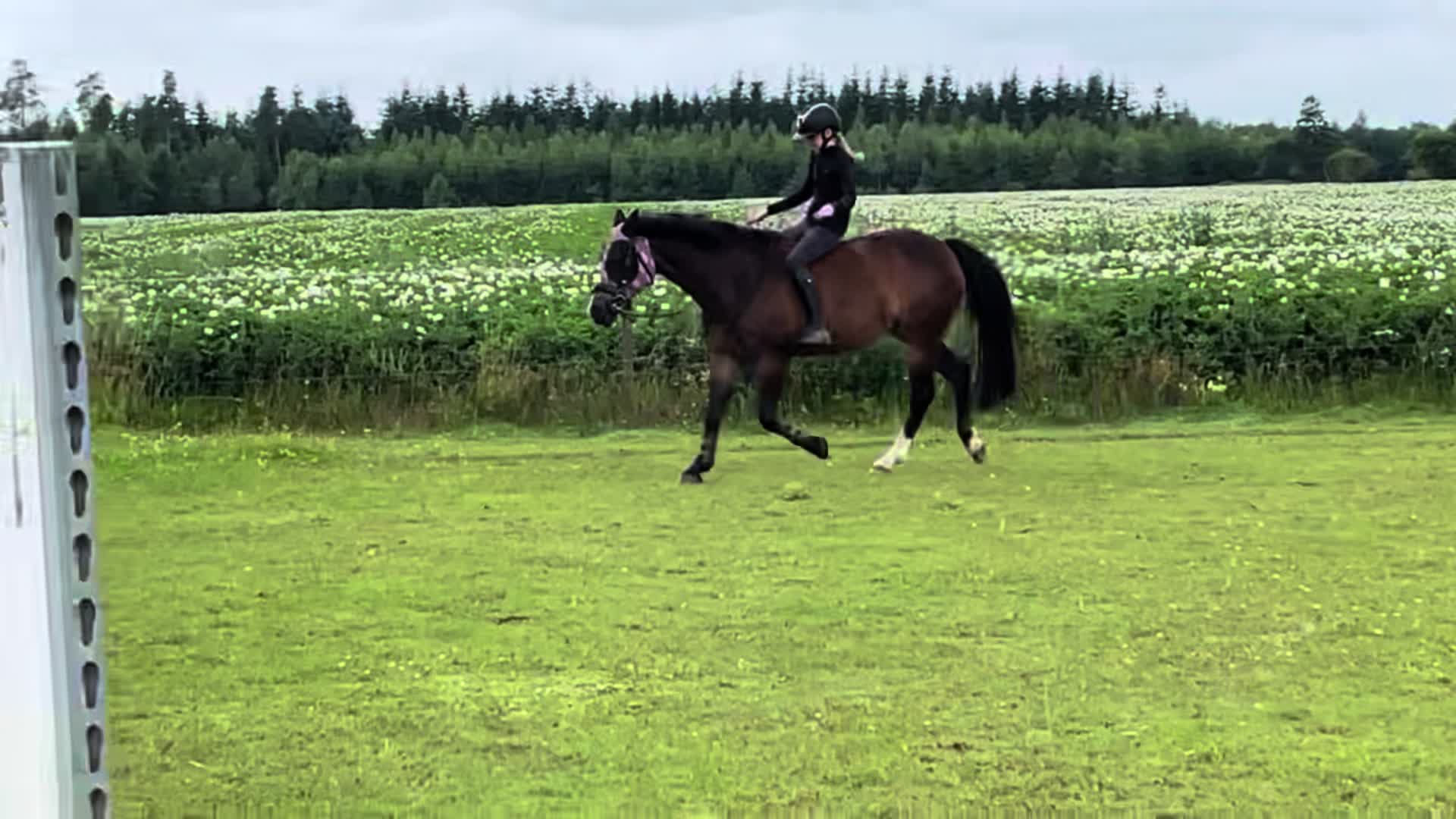 @Cathrine_equestrian🤍