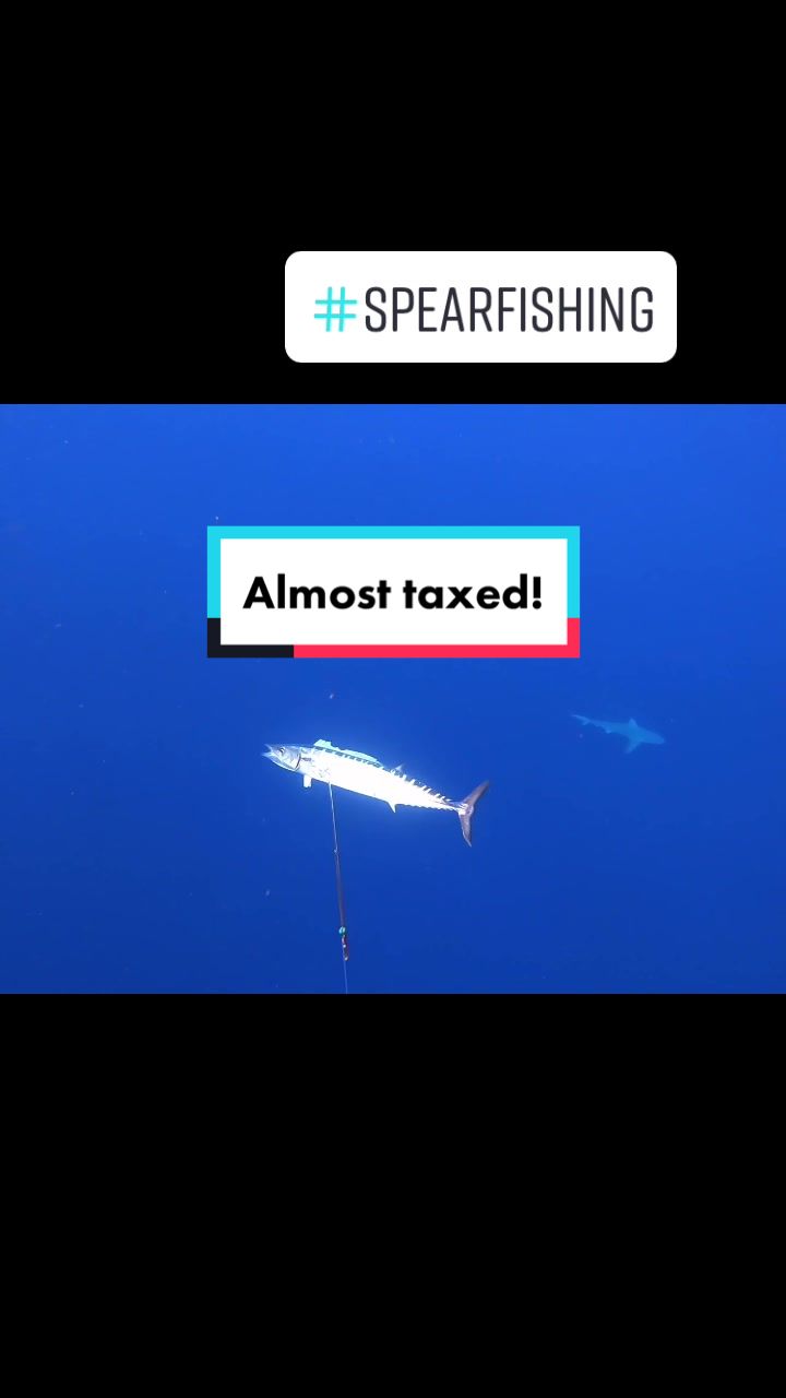 @kairosspearfishing