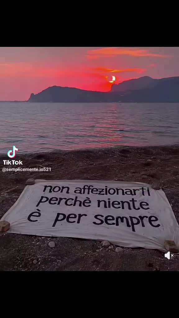 @serena 74