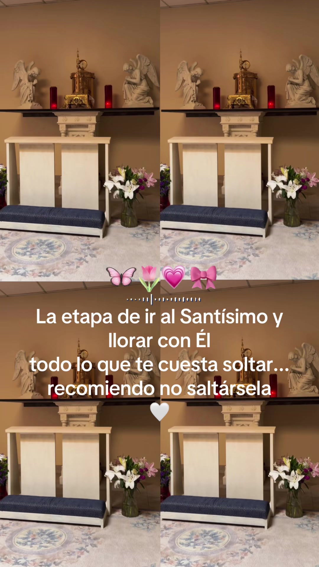 @GUADALUPE CHIU✨ 💎