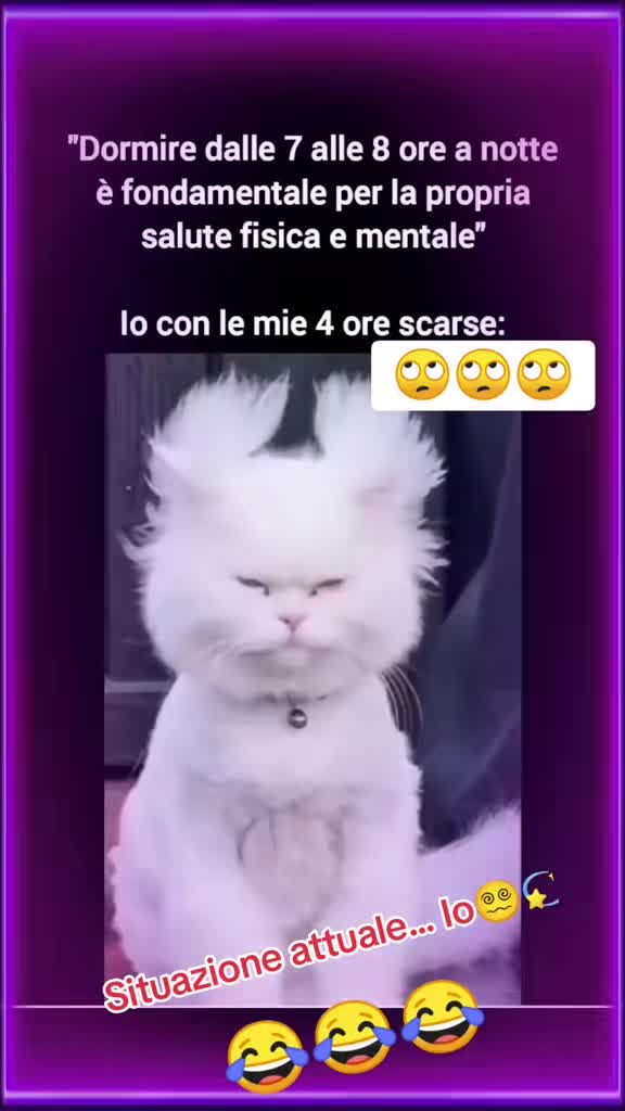 @SofiaSalvatore💖