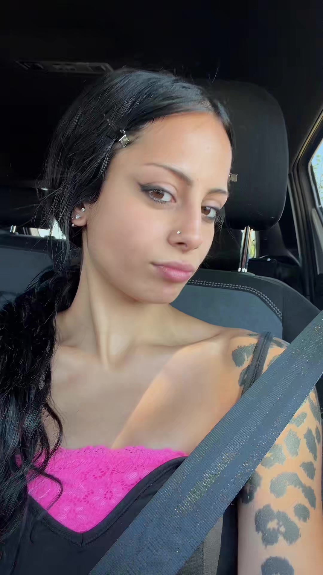 @persiankitten