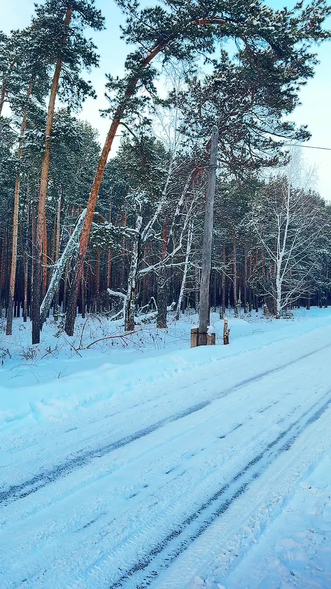 @kseniya2934