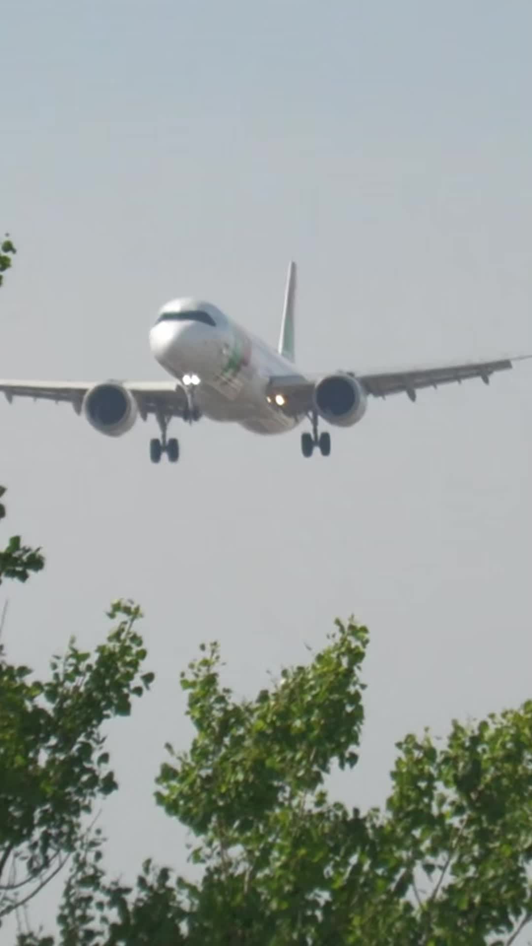 @Lisbon Spotting