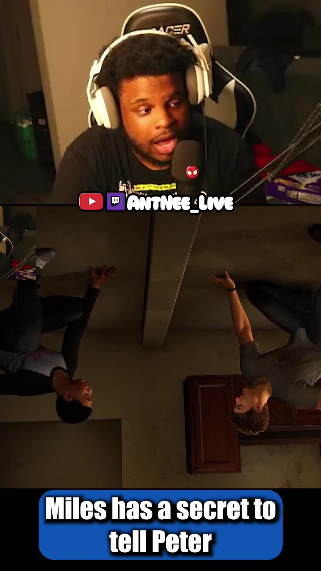 @AntNee Live
