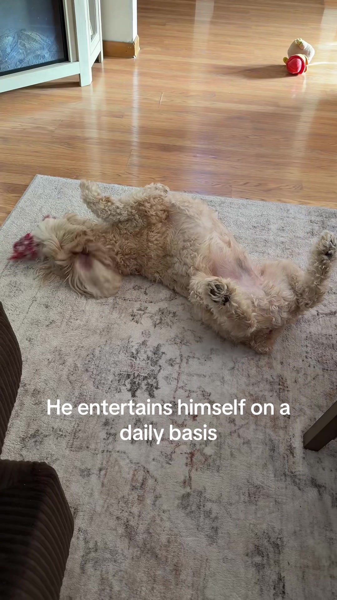 @lauren✨🫶🌷💋🐶
