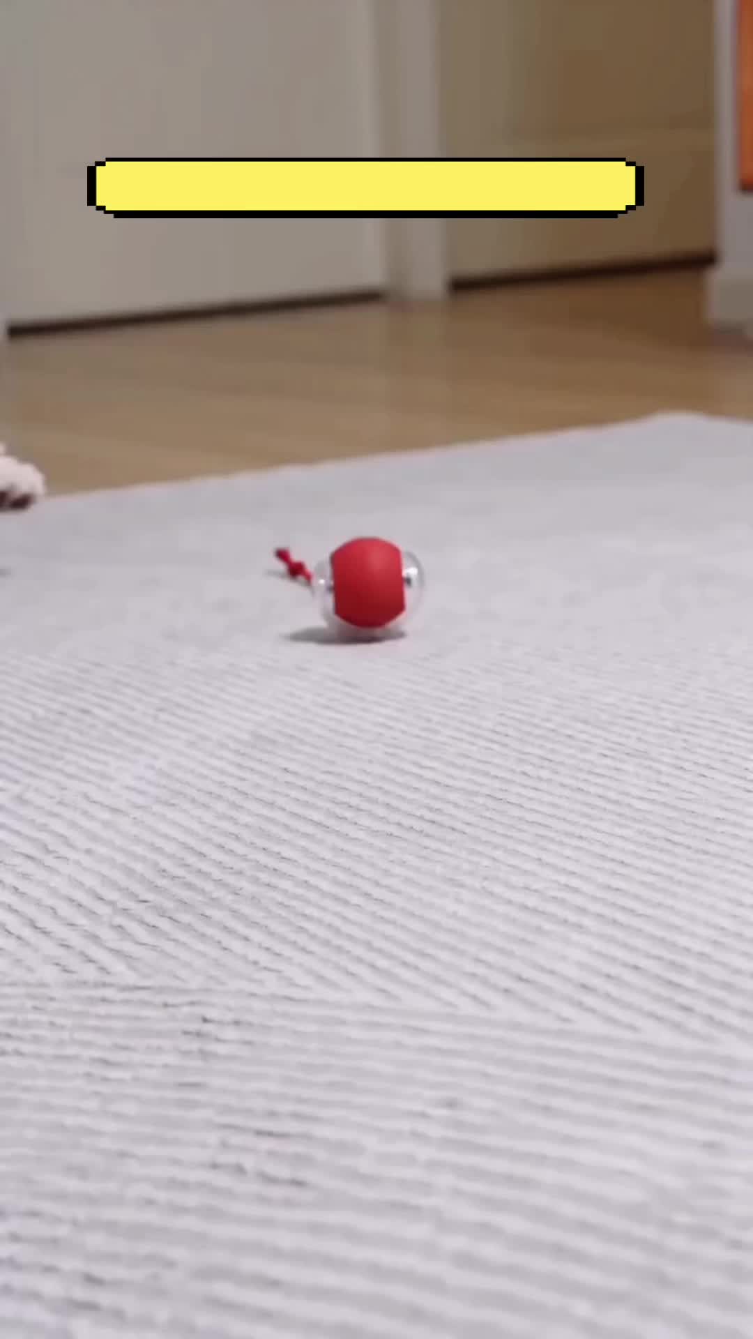 @Funny Ai