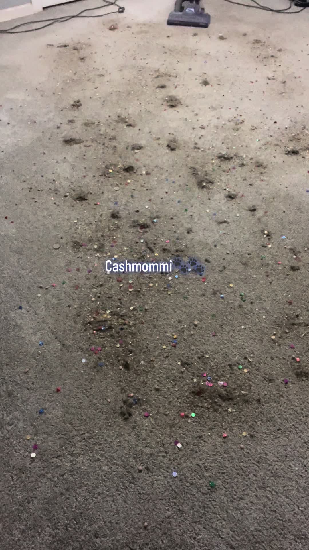 @CashmommiVacs