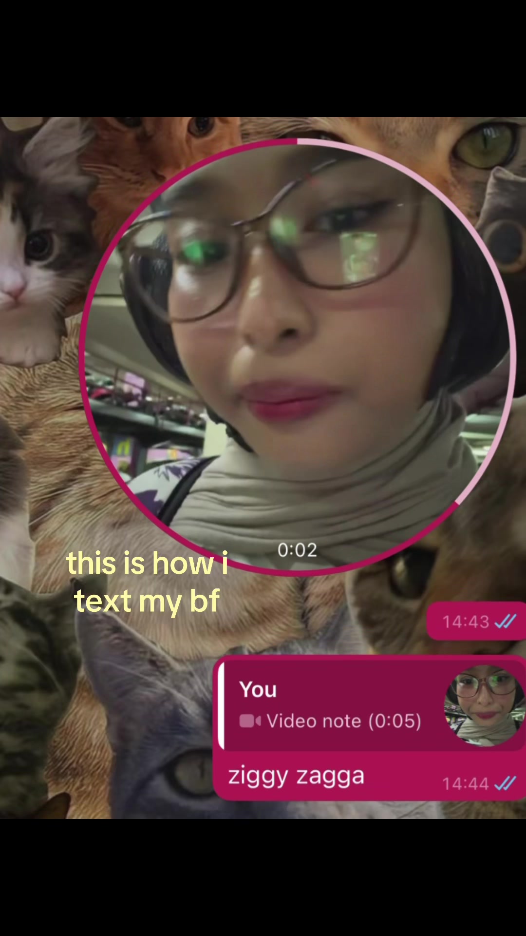 @vinssaaa