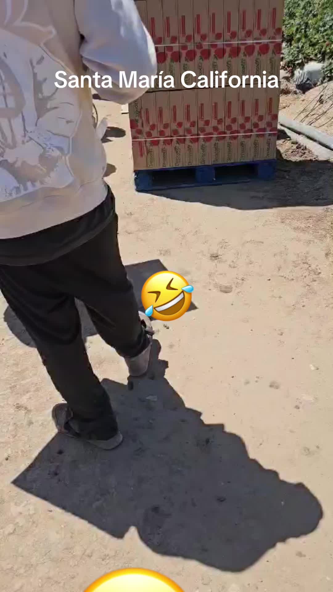 @luz Altamirano