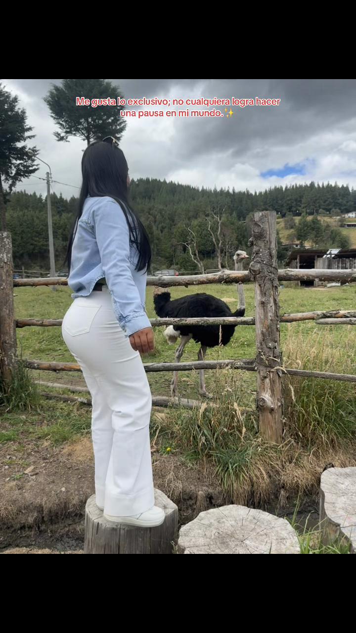 @Dayana Dominguez