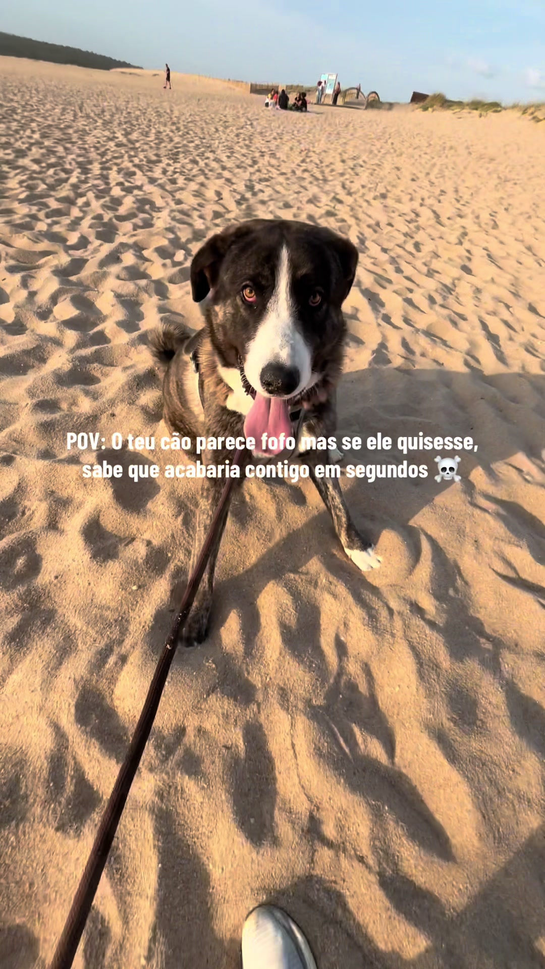 @Beatriz 🌸