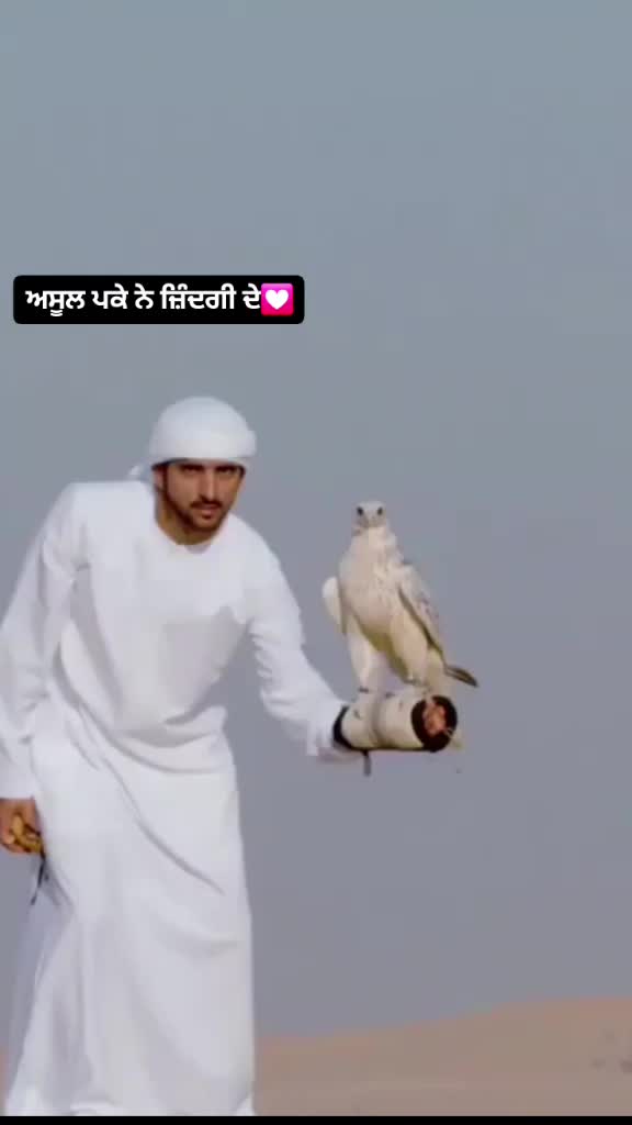 @preeet