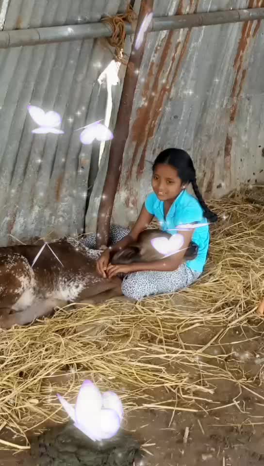 @Talari Vijay Kumar