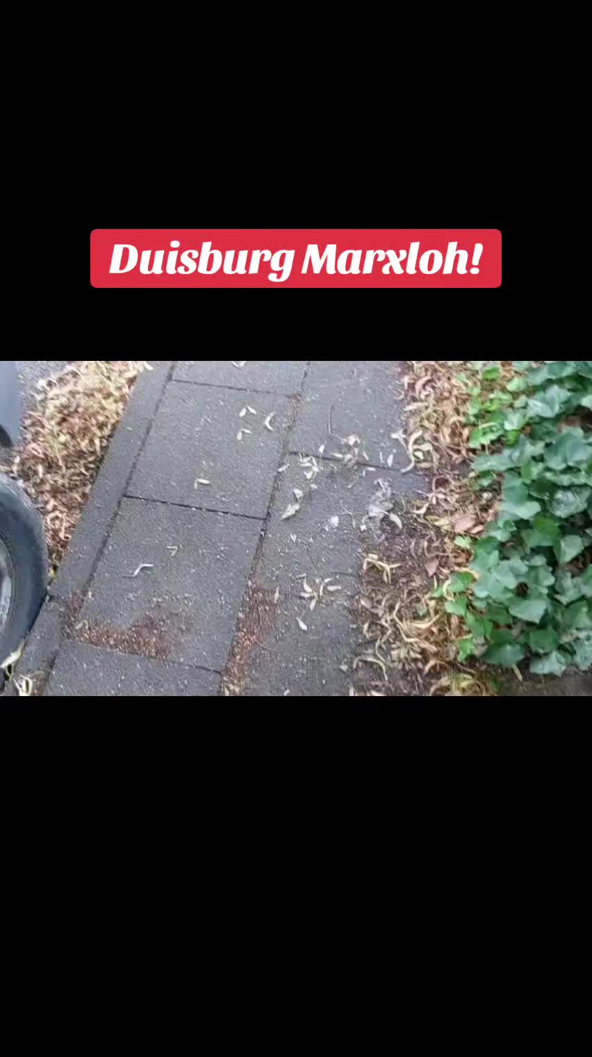@Duisburger Nachrichten