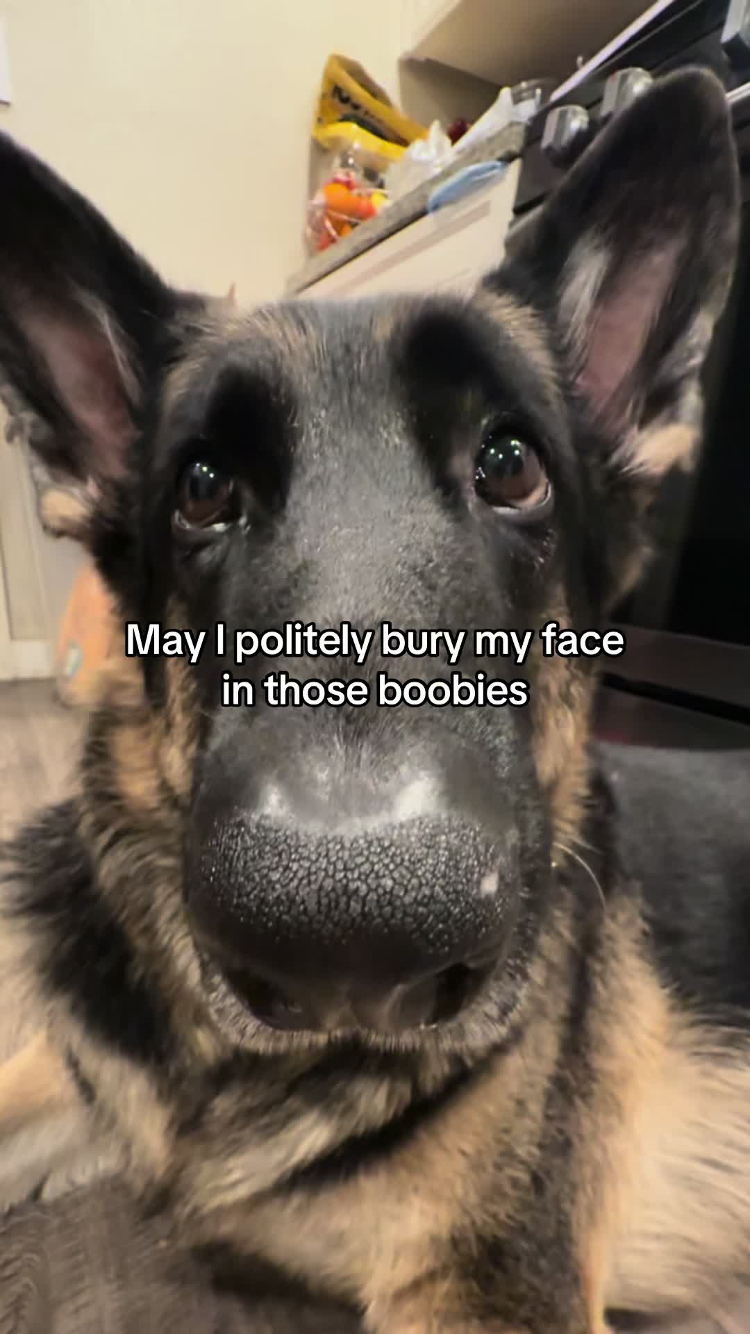 @Bhris