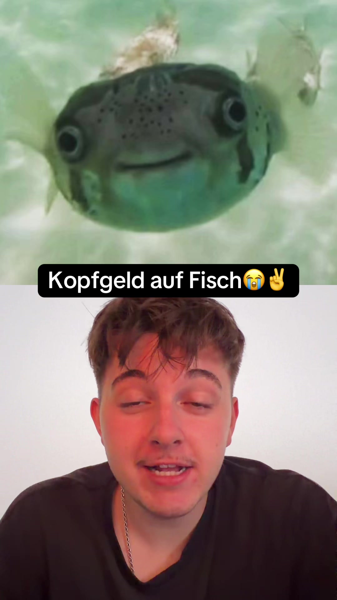 @Nicolas