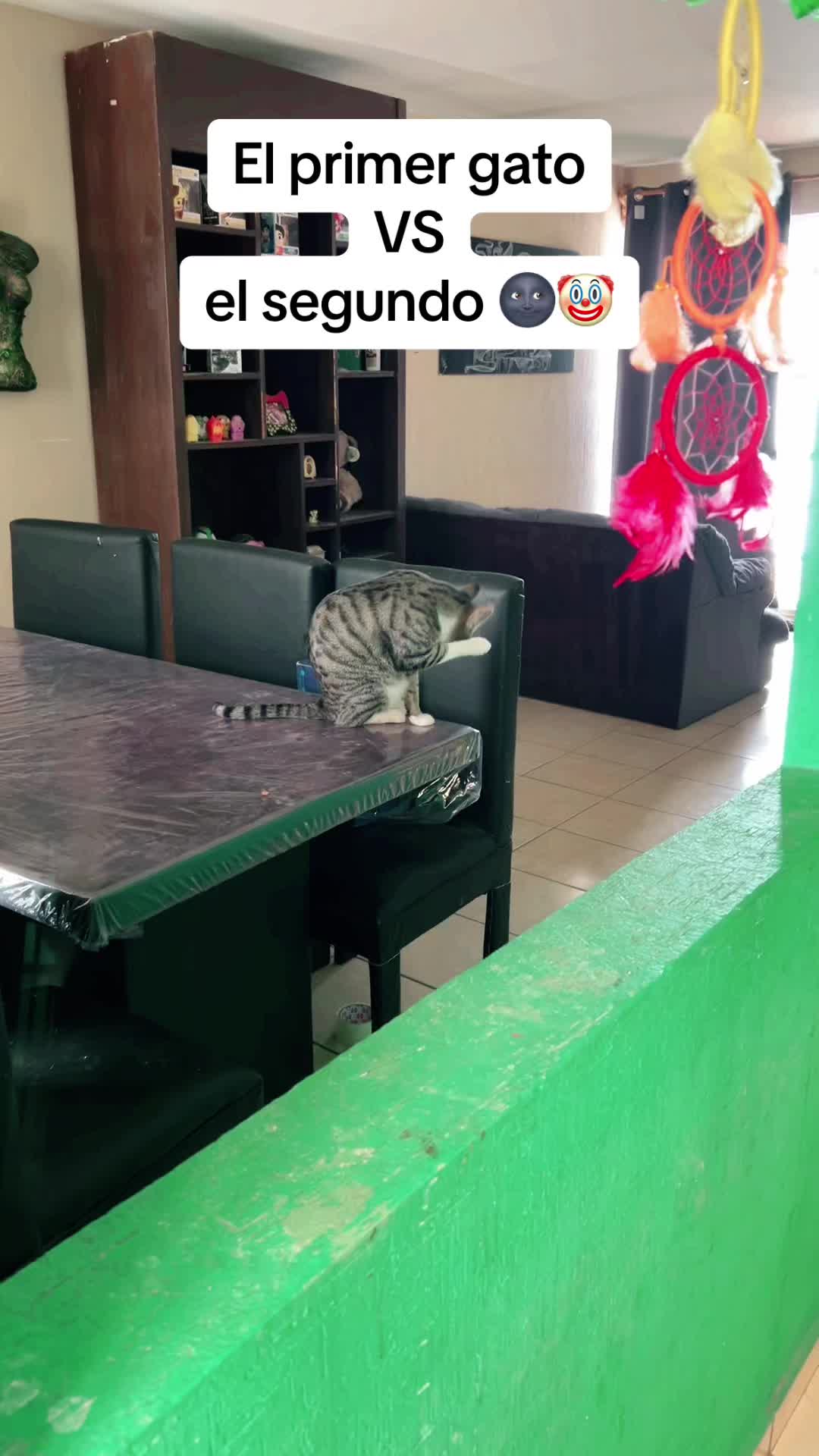 @Maria De La Feira