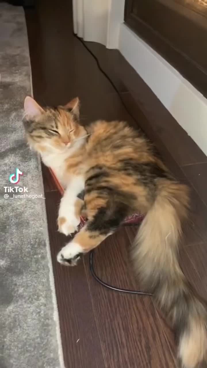 @♡︎