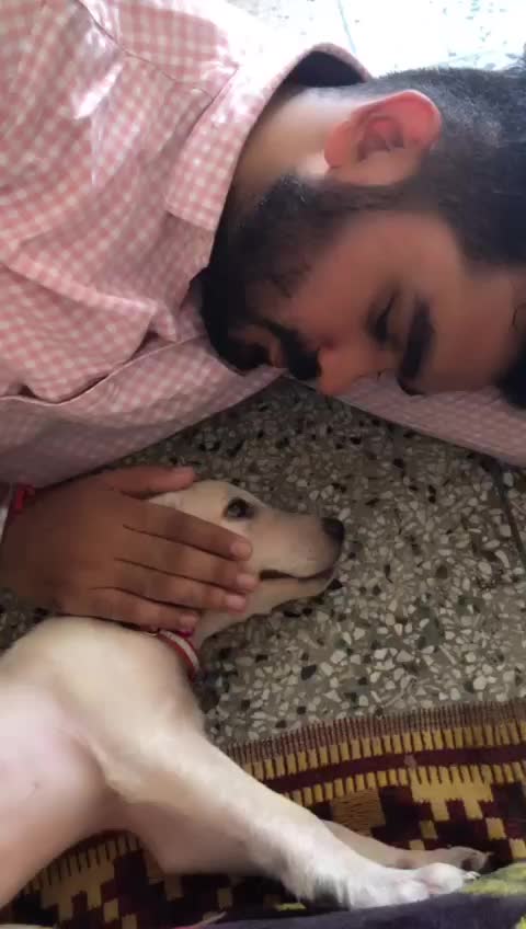 @Bunnnyshama